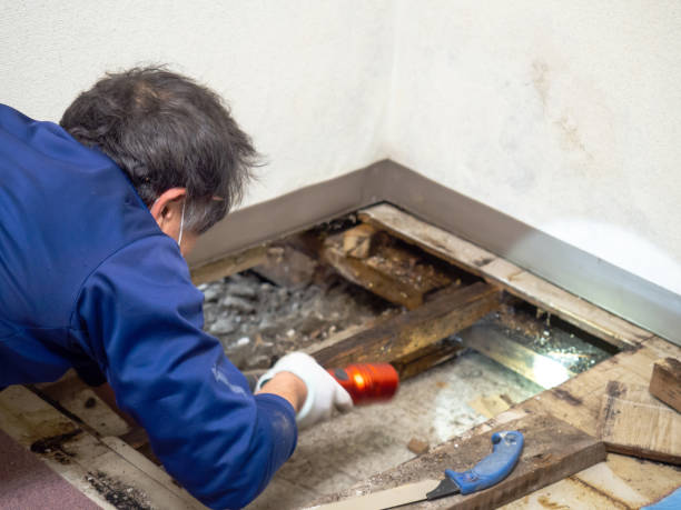 Best Bathroom Mold Remediation in Long Branch, NJ