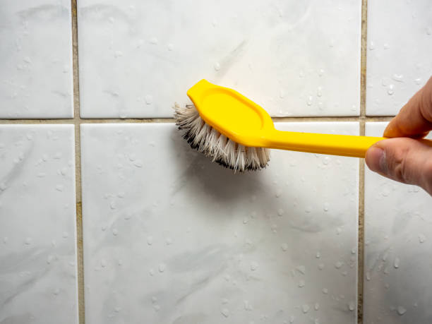 Best Mold Remediation for Specific Building Types in Long Branch, NJ