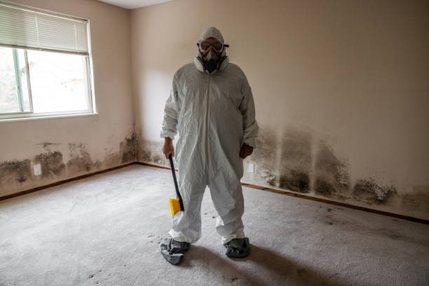 Best Post-Flood Mold Remediation in Long Branch, NJ